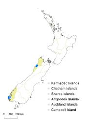 Sticherus tener distribution map based on databased records at AK, CHR and WELT, and supplemented with selected OTA records.
 Image: K. Boardman © Landcare Research 2015 CC BY 3.0 NZ